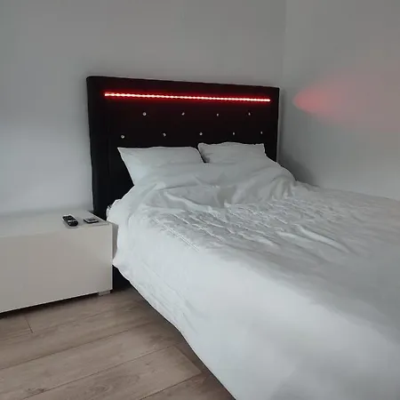 Chambre Prive Dans Une Maison Avec Terrasse Et Jardin Salles De Bain Partagees Lille