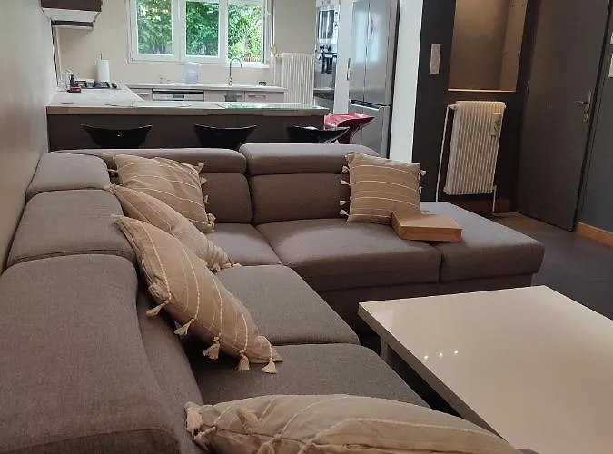 Prive Dans Maison Avec Terrasse Et Jardin Salles De Bain Partagees * Lille